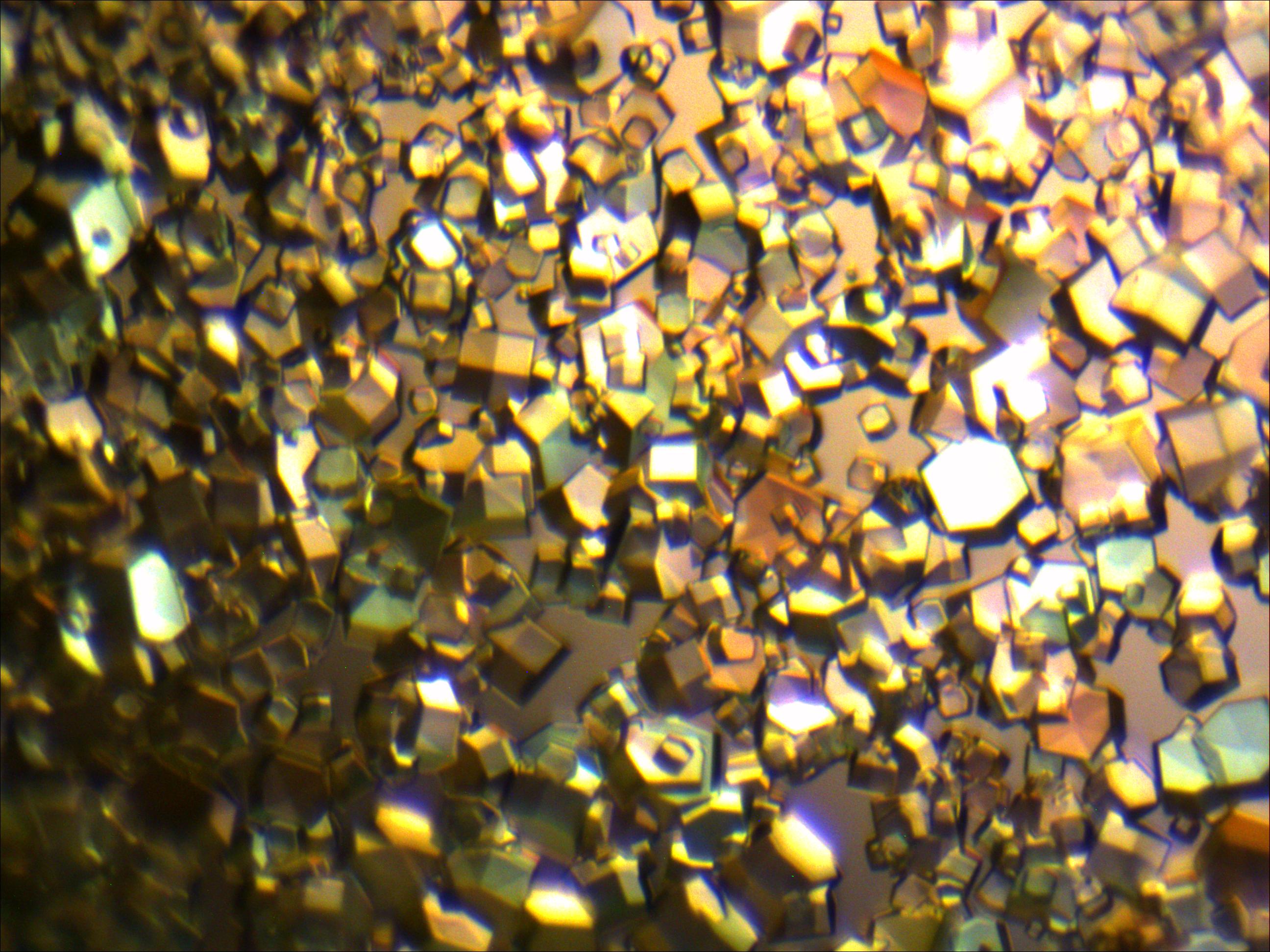 Many square crystals