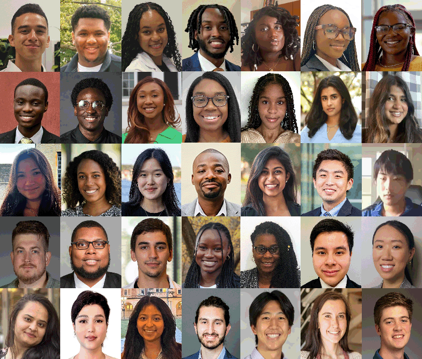 Early career researchers contributing to this focused issue.