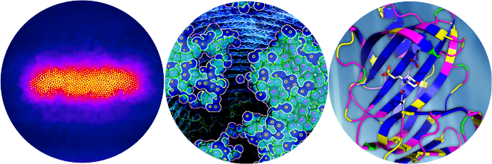 event id 136016 image ID 136017