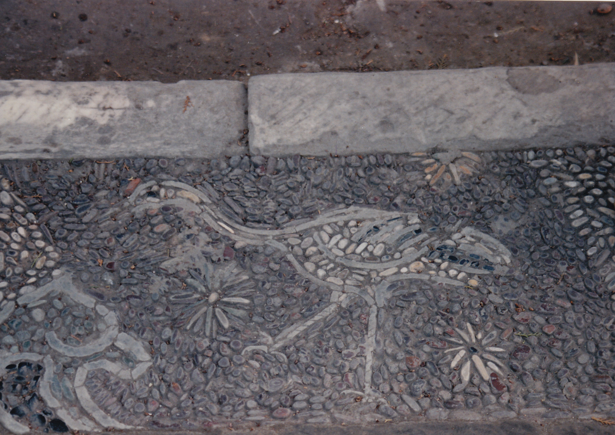 1993: IUCr Congress and General Assembly: Excursions