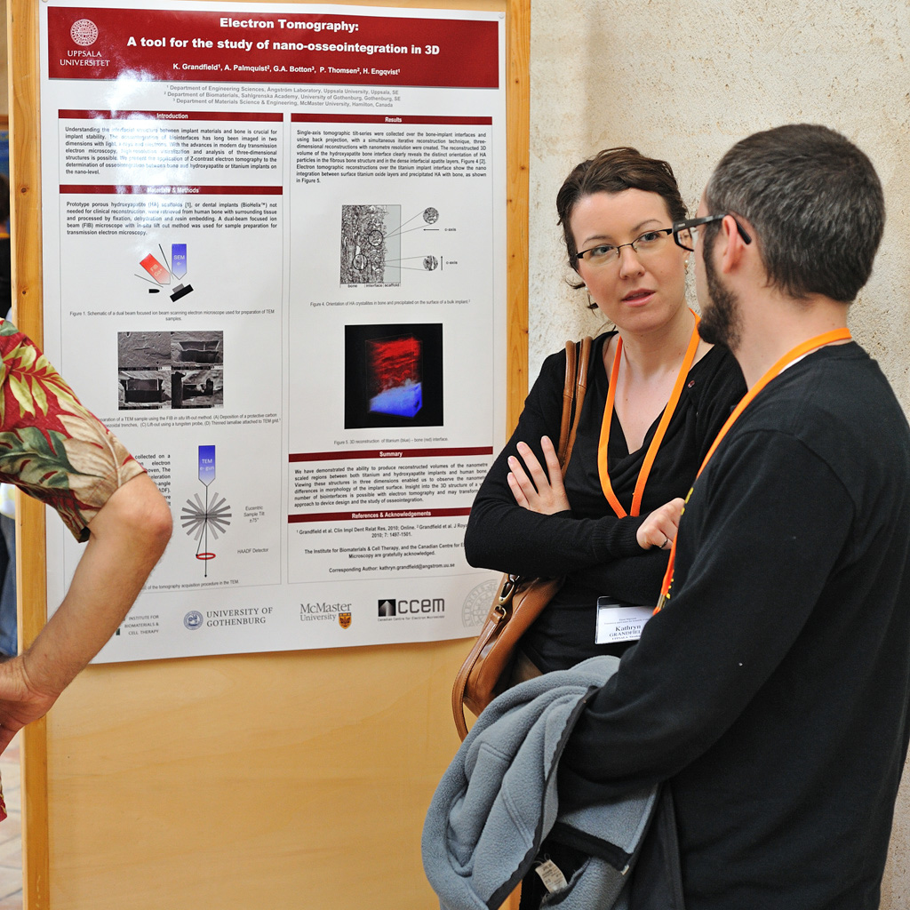 2011: Erice School on Powder Diffraction: Posters