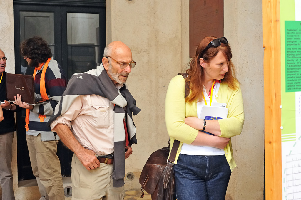 2011: Erice School on Powder Diffraction: Posters