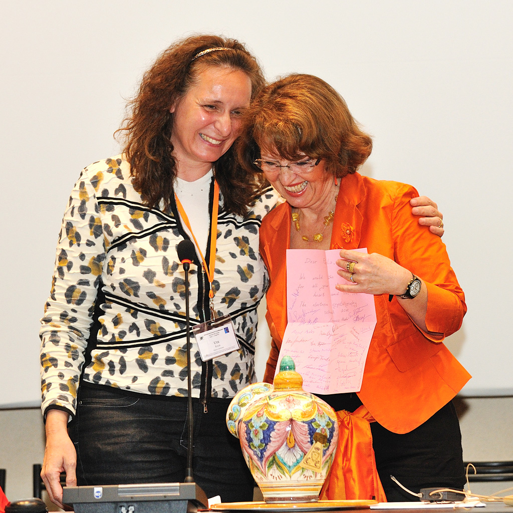 2011: Erice School on Powder Diffraction: Certificates