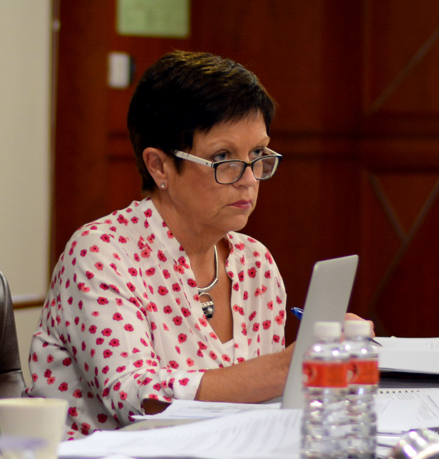 2017: IUCr Executive Committee meeting: Meeting