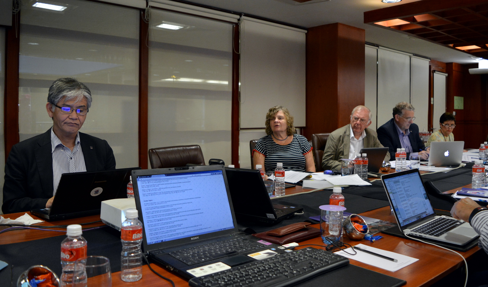 2017: IUCr Executive Committee meeting: Meeting