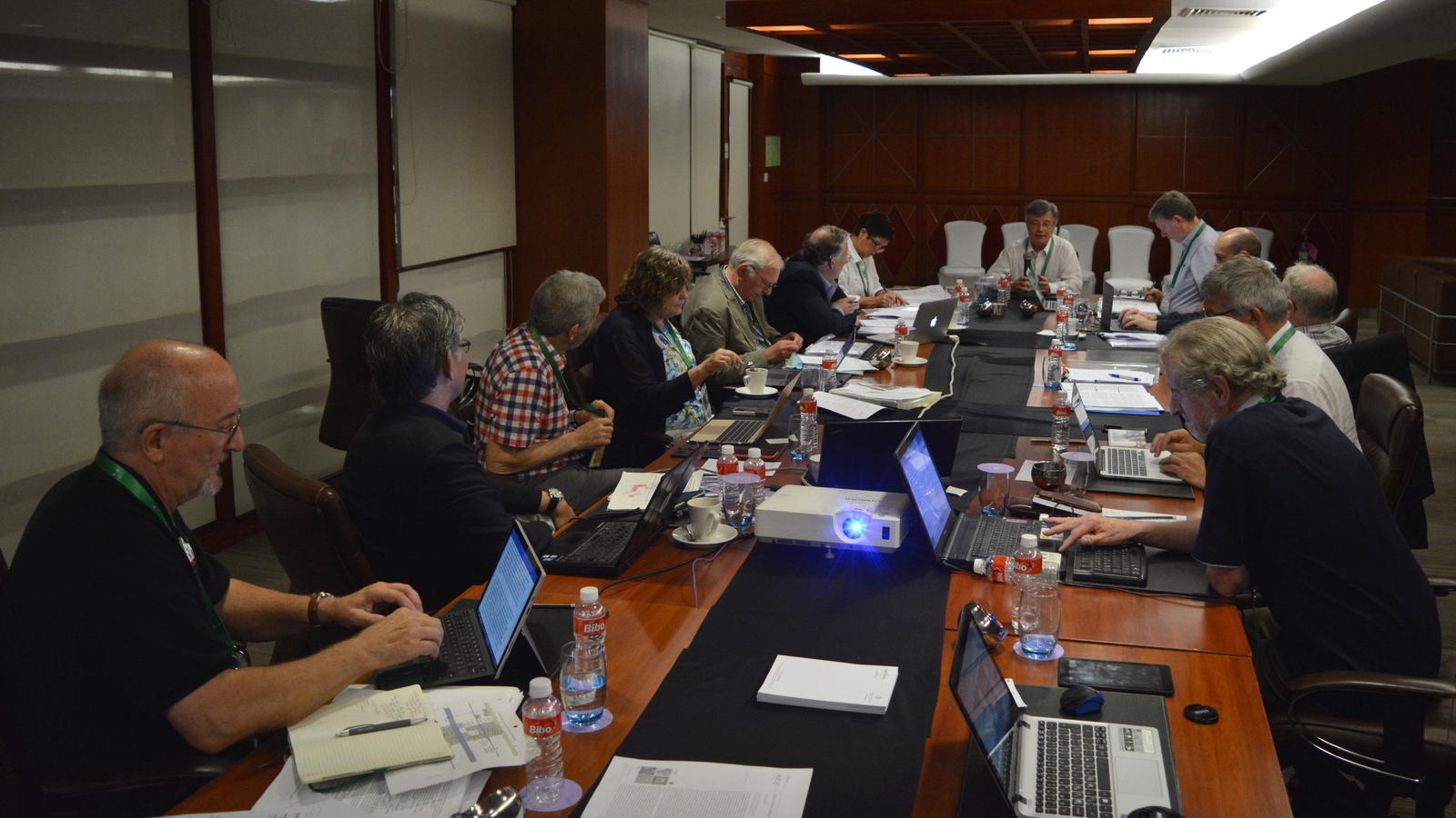 2017: IUCr Executive Committee meeting: Meeting