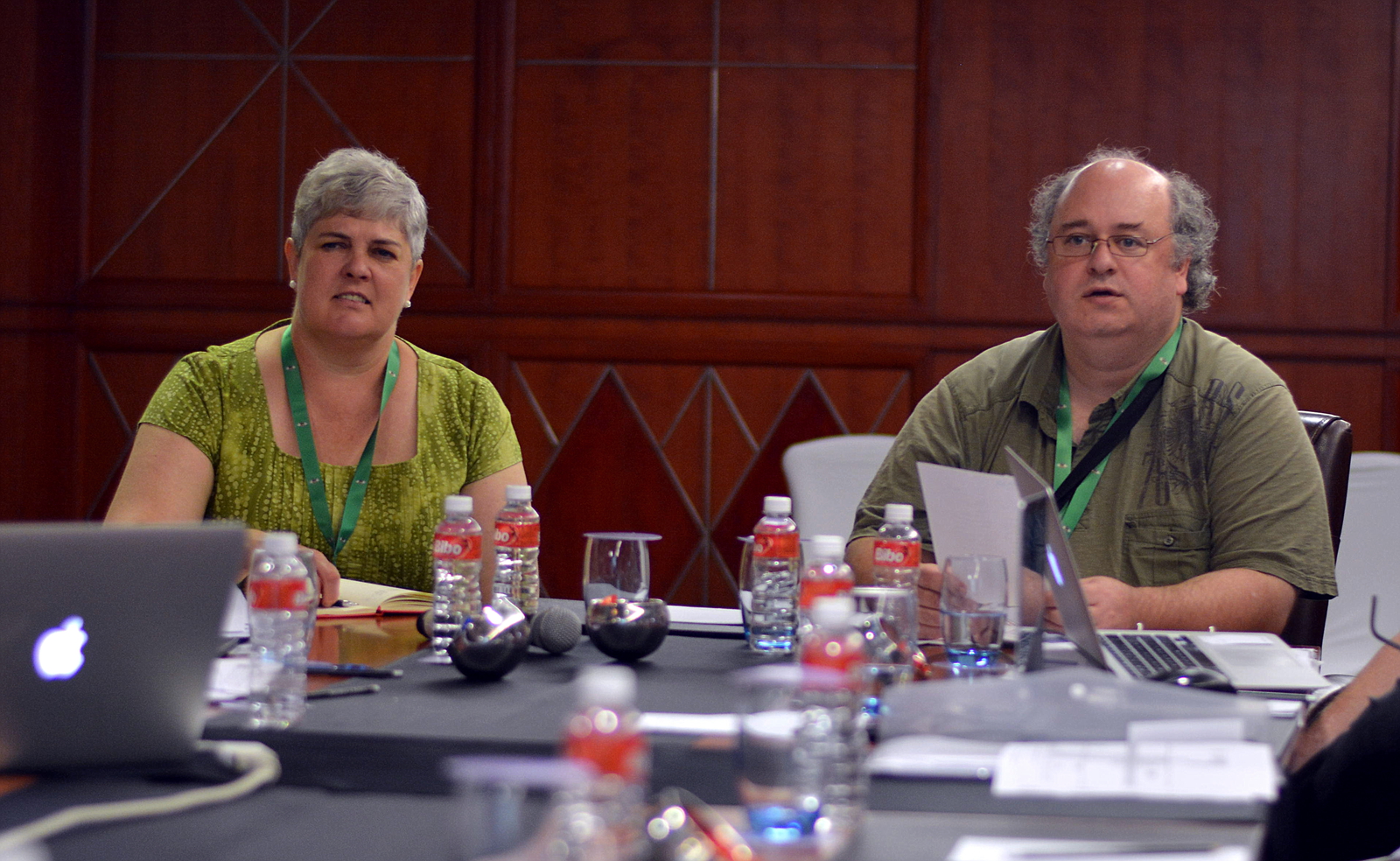 2017: IUCr Executive Committee meeting: Meeting