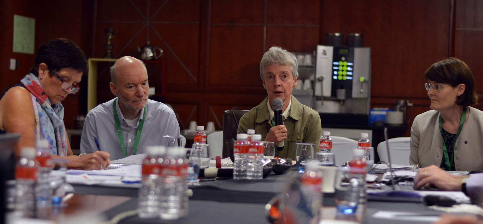 2017: IUCr Executive Committee meeting: Meeting