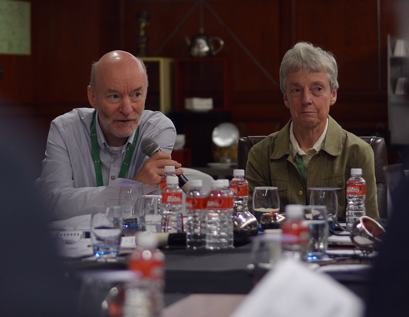 2017: IUCr Executive Committee meeting: Meeting