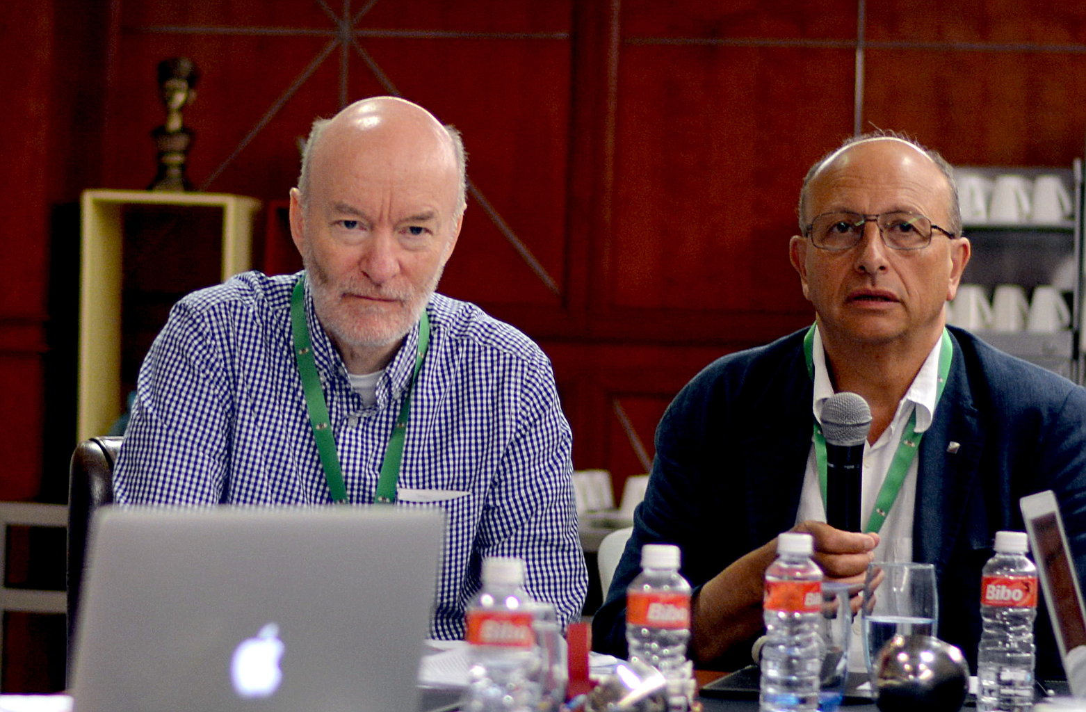 2017: IUCr Executive Committee meeting: Meeting