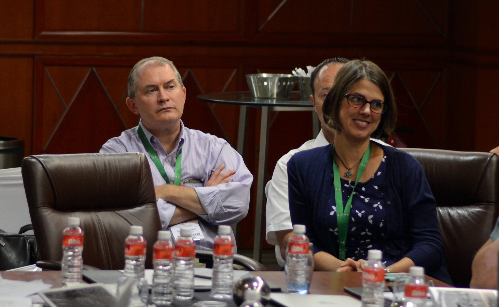 2017: IUCr Executive Committee meeting: Meeting