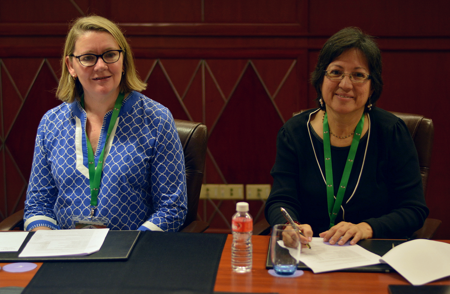 2017: IUCr Executive Committee meeting: Meeting