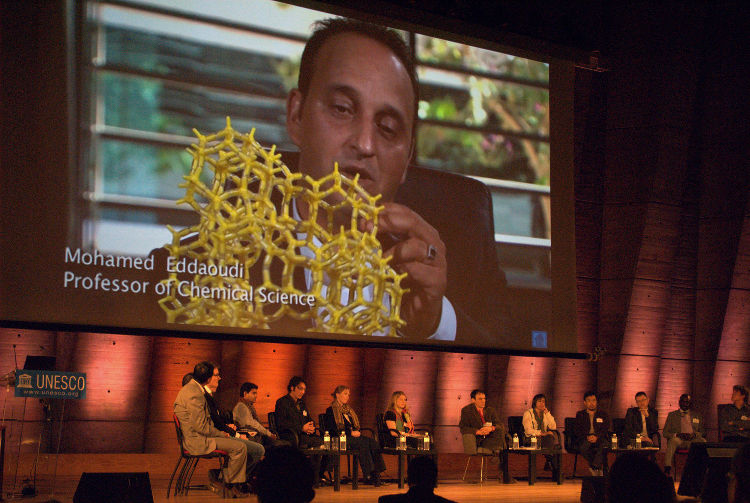 2014: Opening Ceremony of the International Year of Crystallography: Young Crystallographers Session