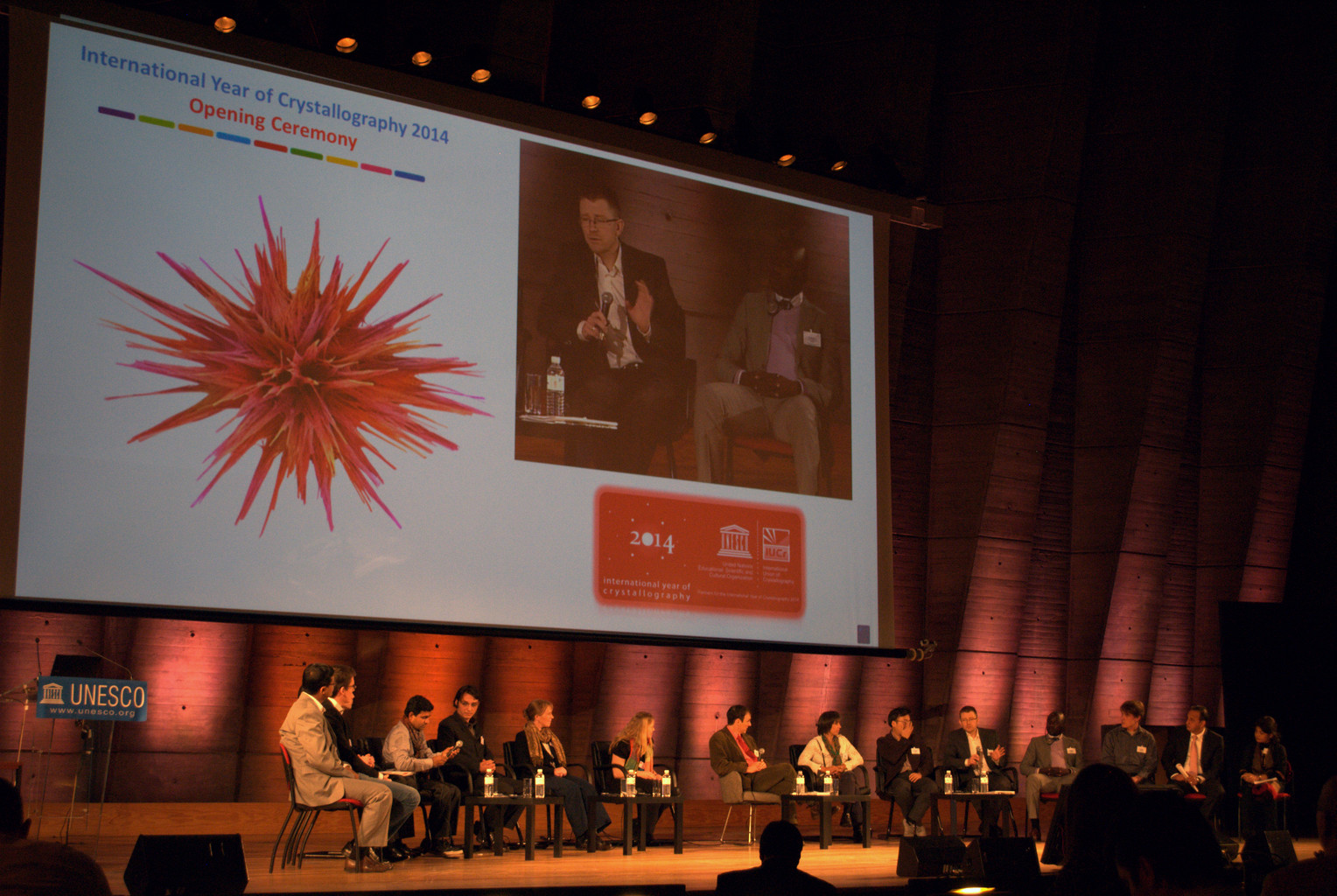 2014: Opening Ceremony of the International Year of Crystallography: Young Crystallographers Session