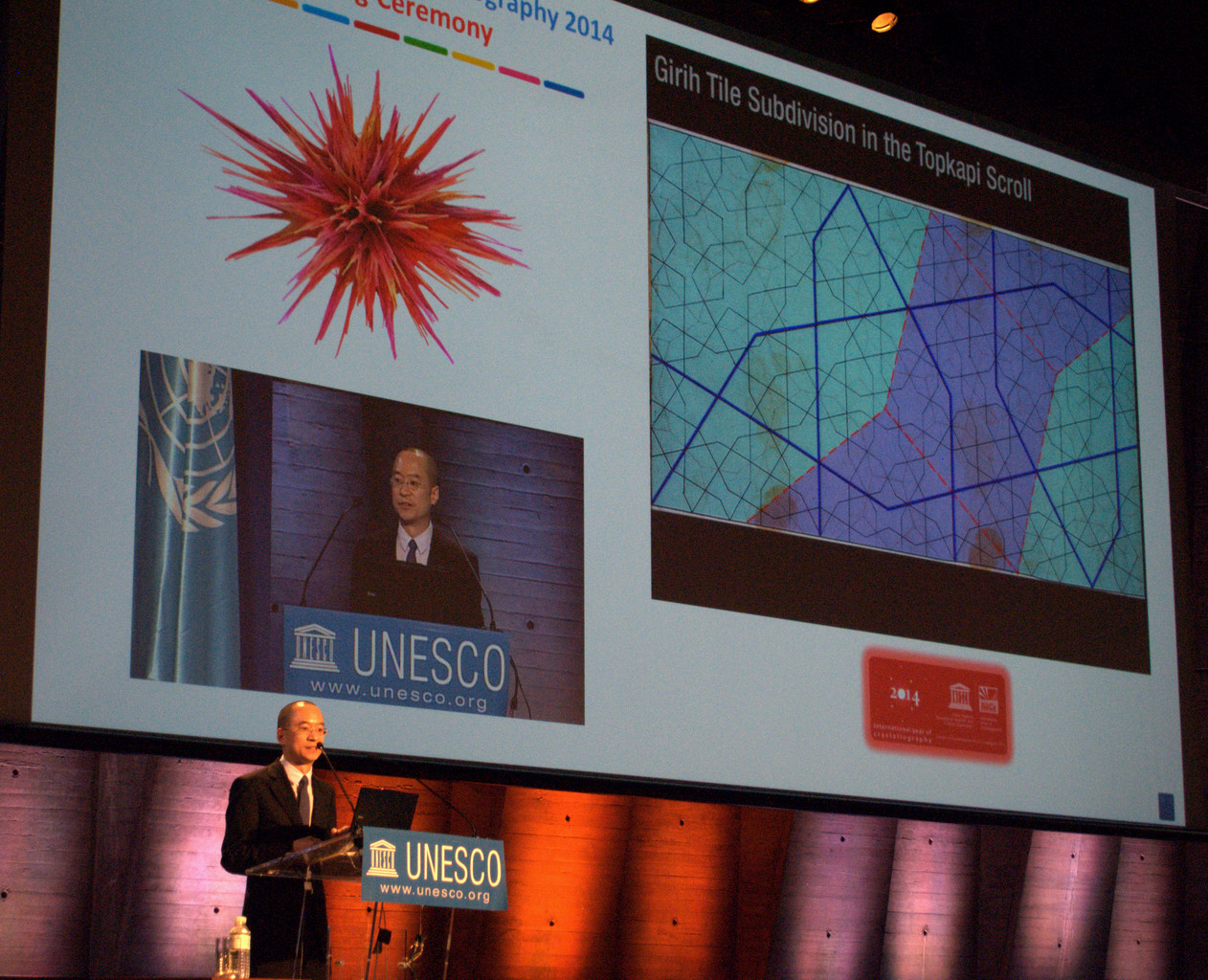 2014: Opening Ceremony of the International Year of Crystallography: Crystallography, Symmetry and Art