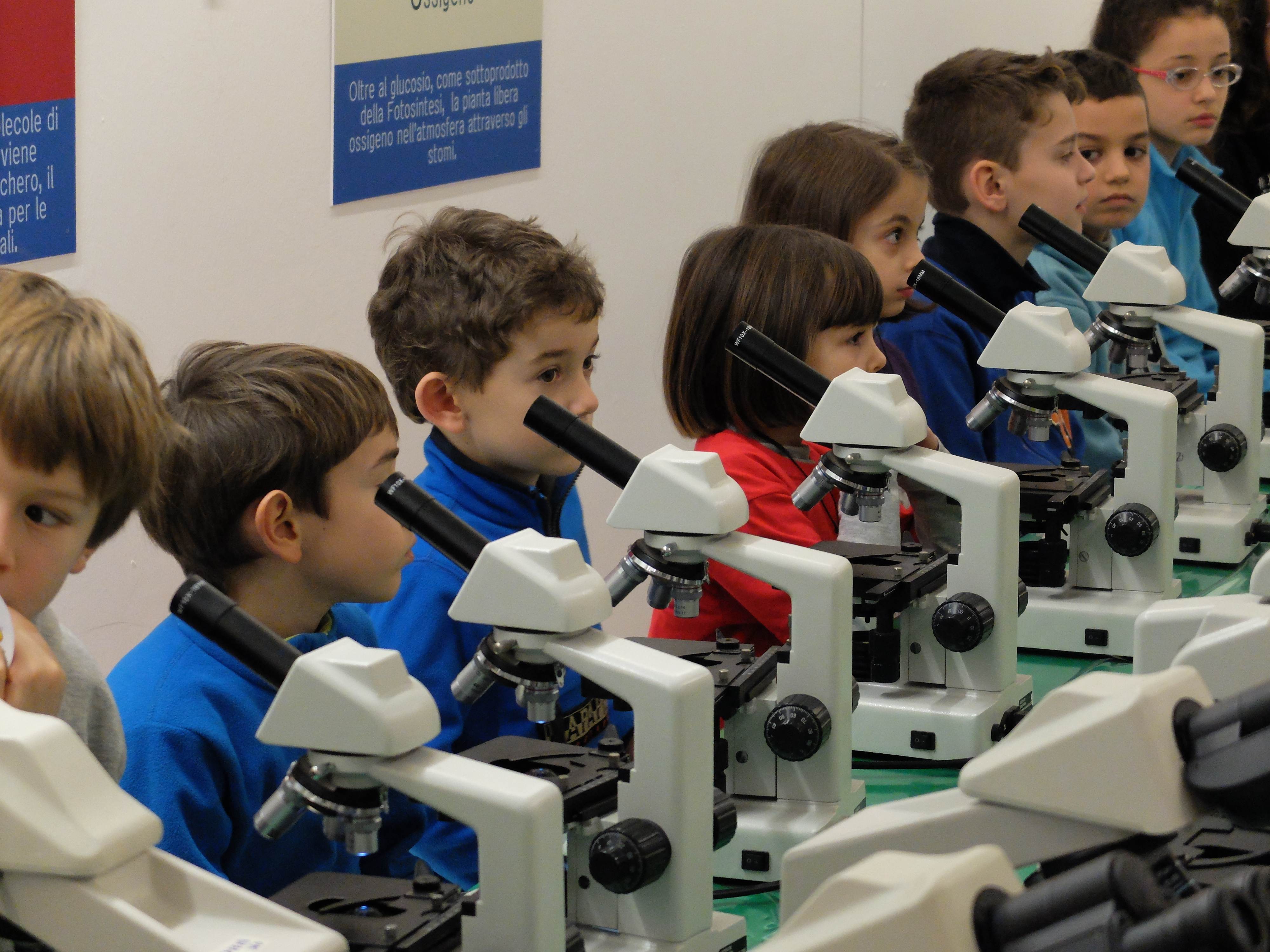 2014: Bologna - workshop for schoolchildren: Hands-on participation