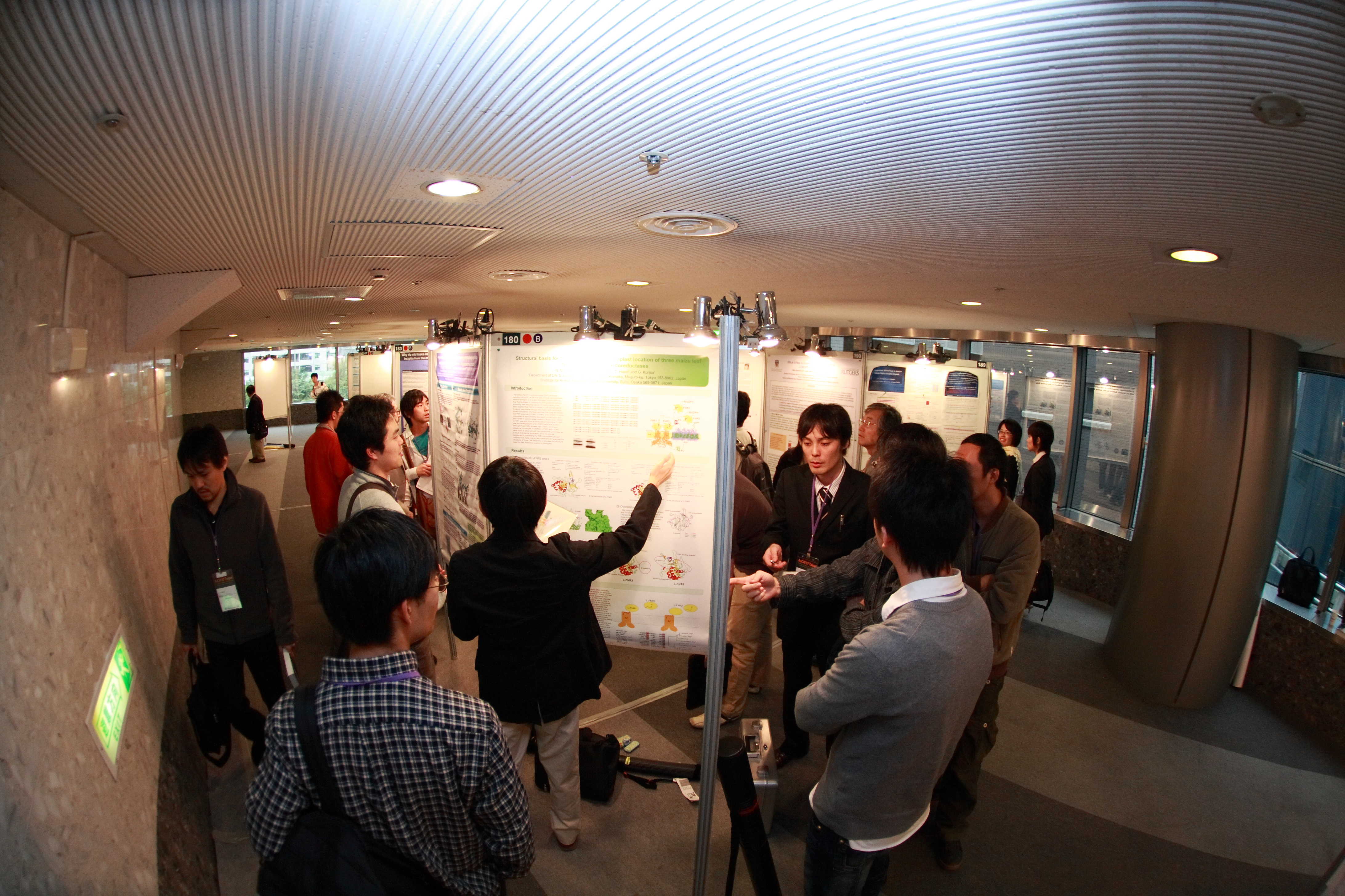 2007: AsCA Meeting: Posters