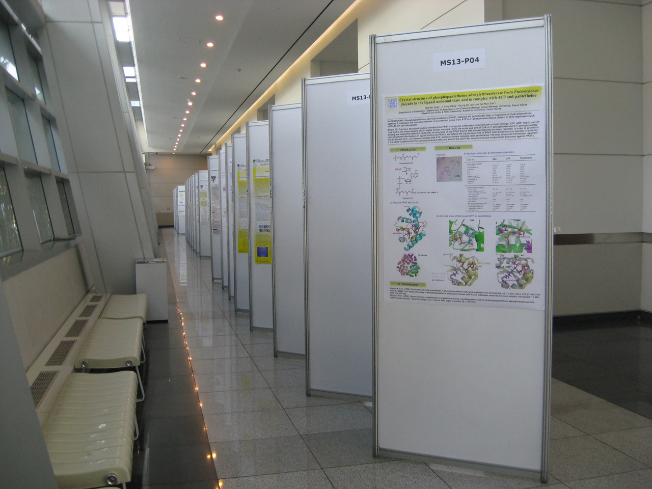 2010: AsCA Meeting: Venue