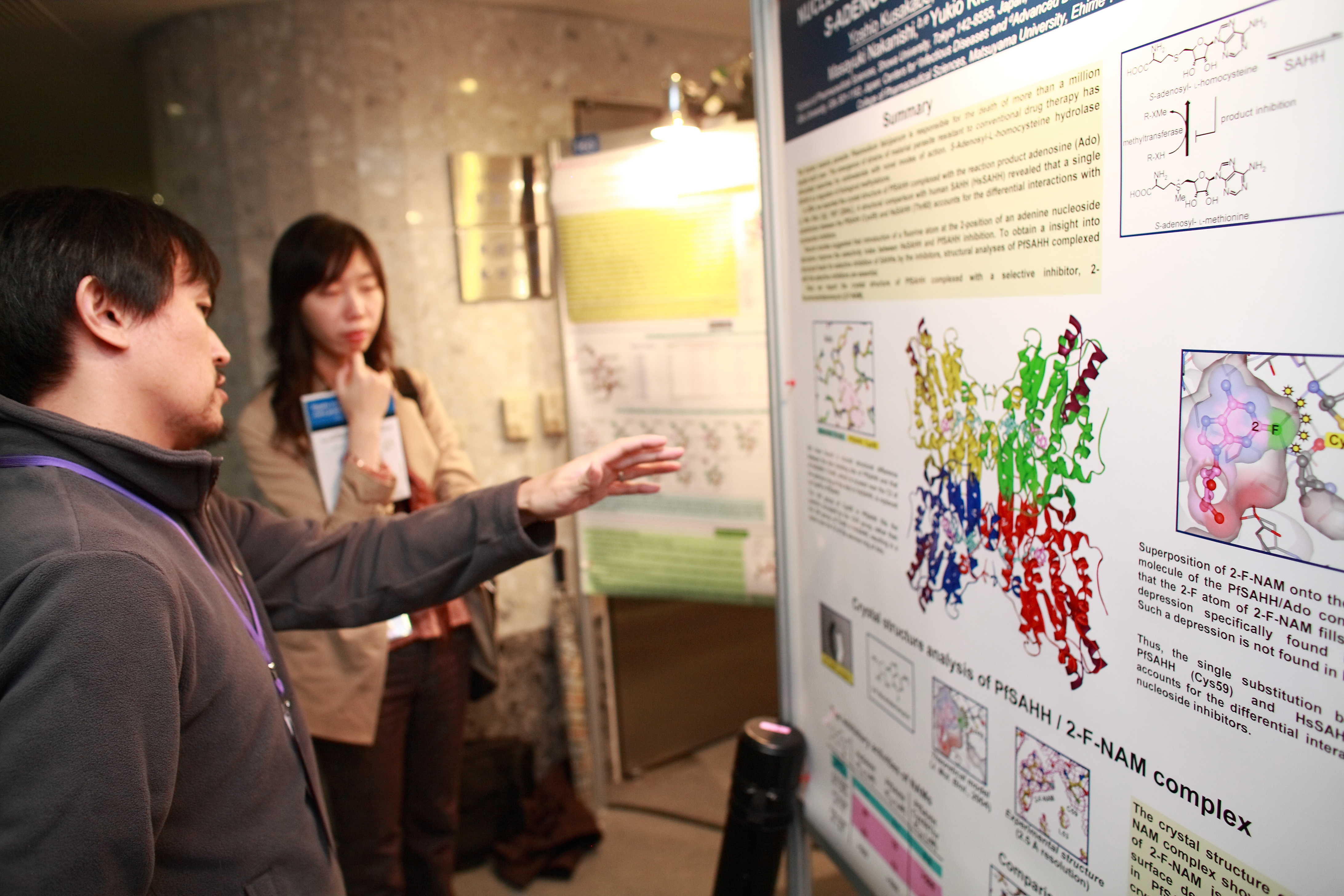 2007: AsCA Meeting: Posters
