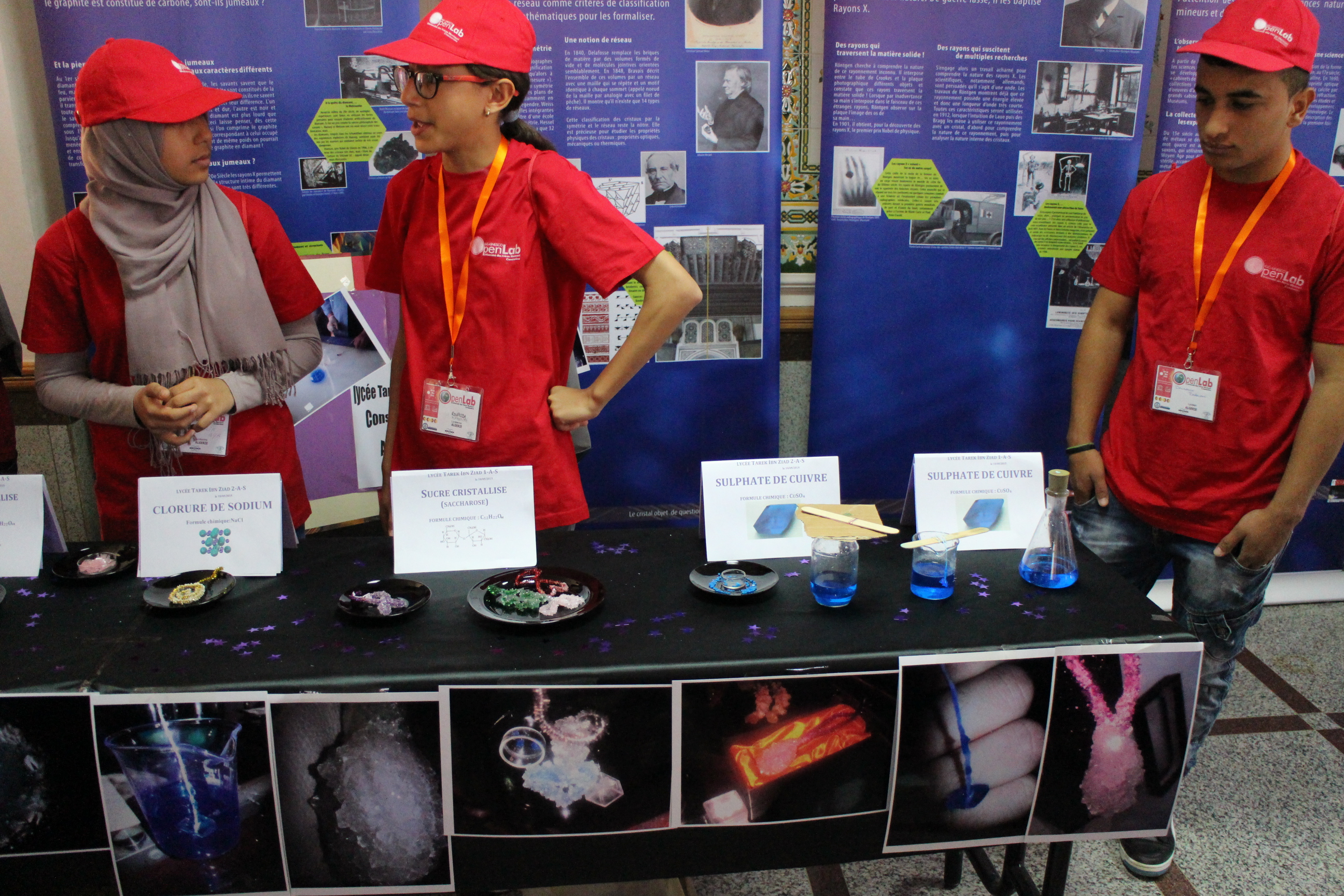 2015: IUCr-UNESCO Open Lab: Exhibition and public space
