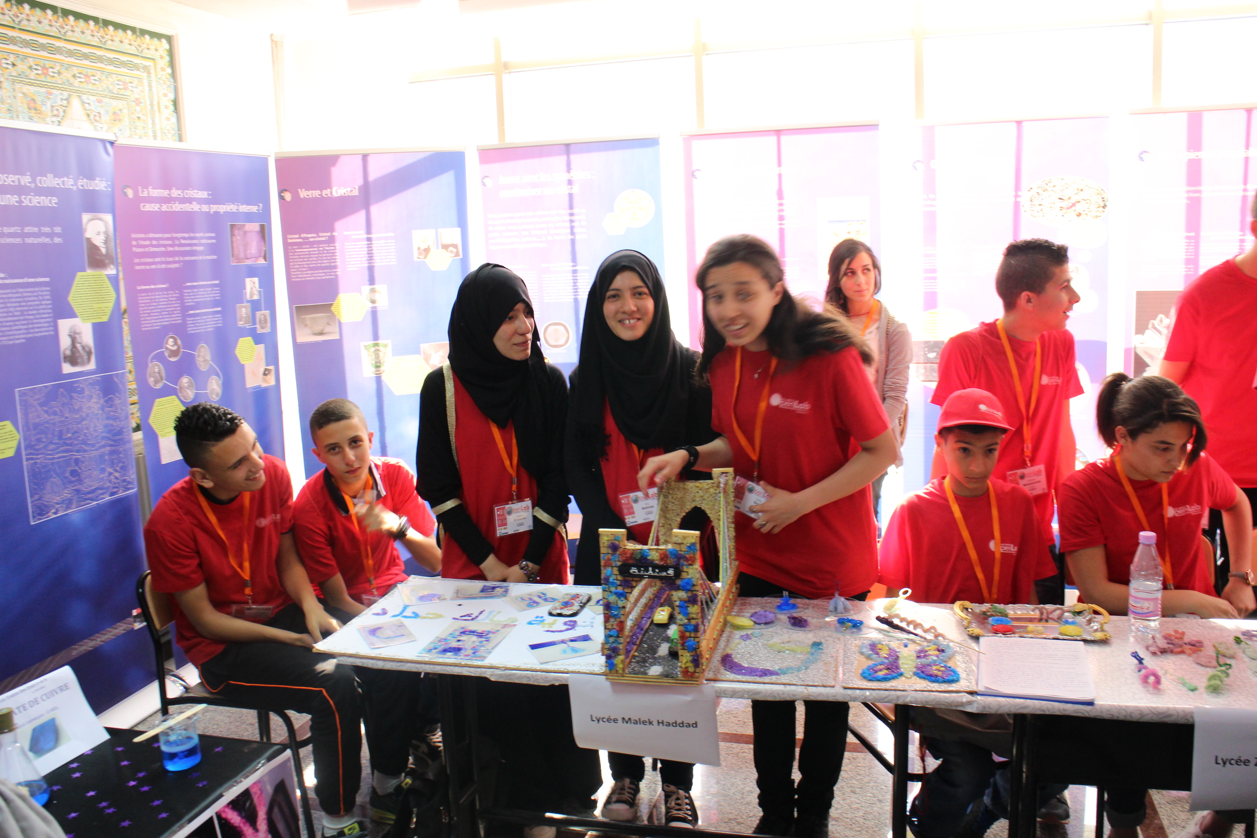 2015: IUCr-UNESCO Open Lab: Crystal growing competition