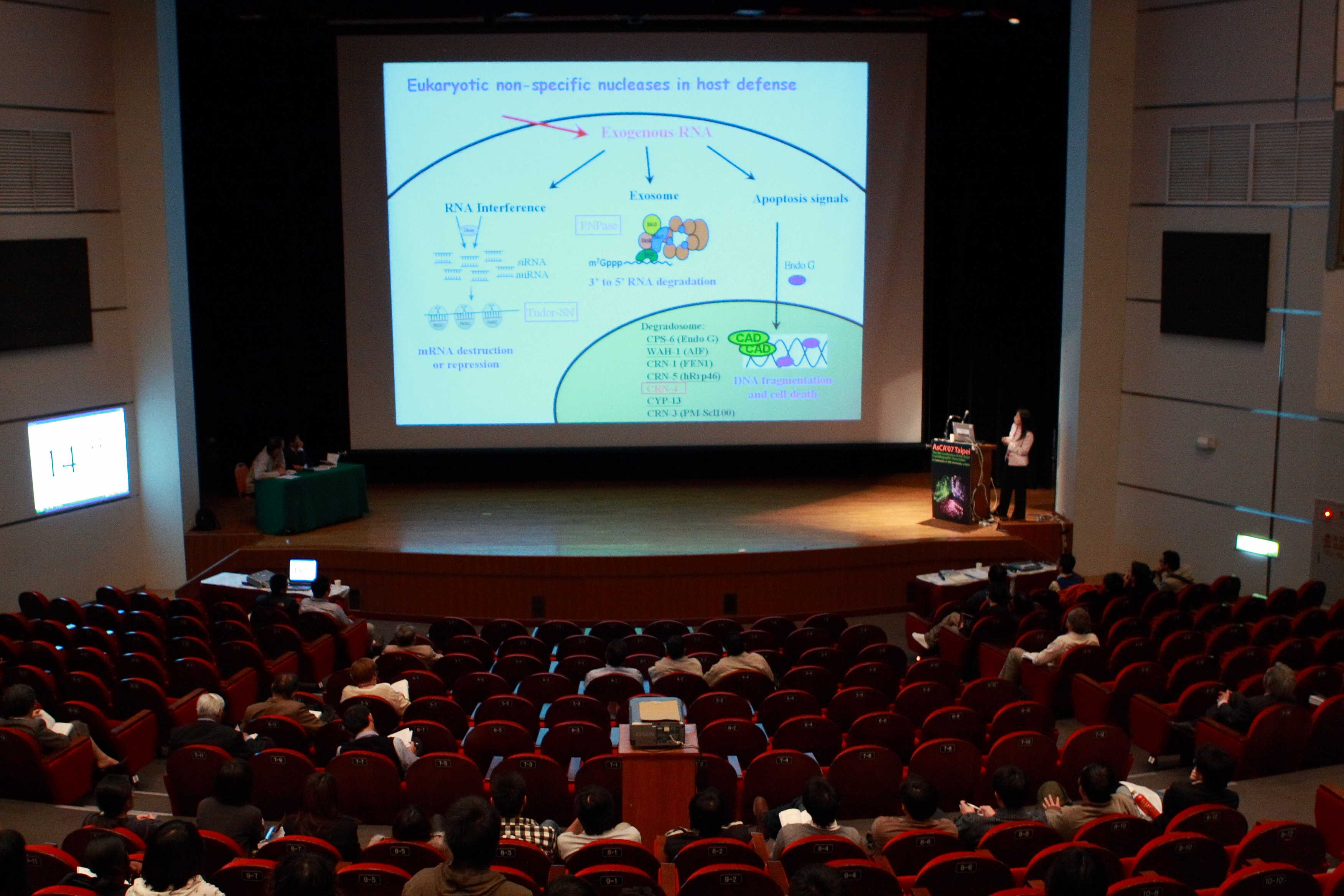 2007: AsCA Meeting: Lectures