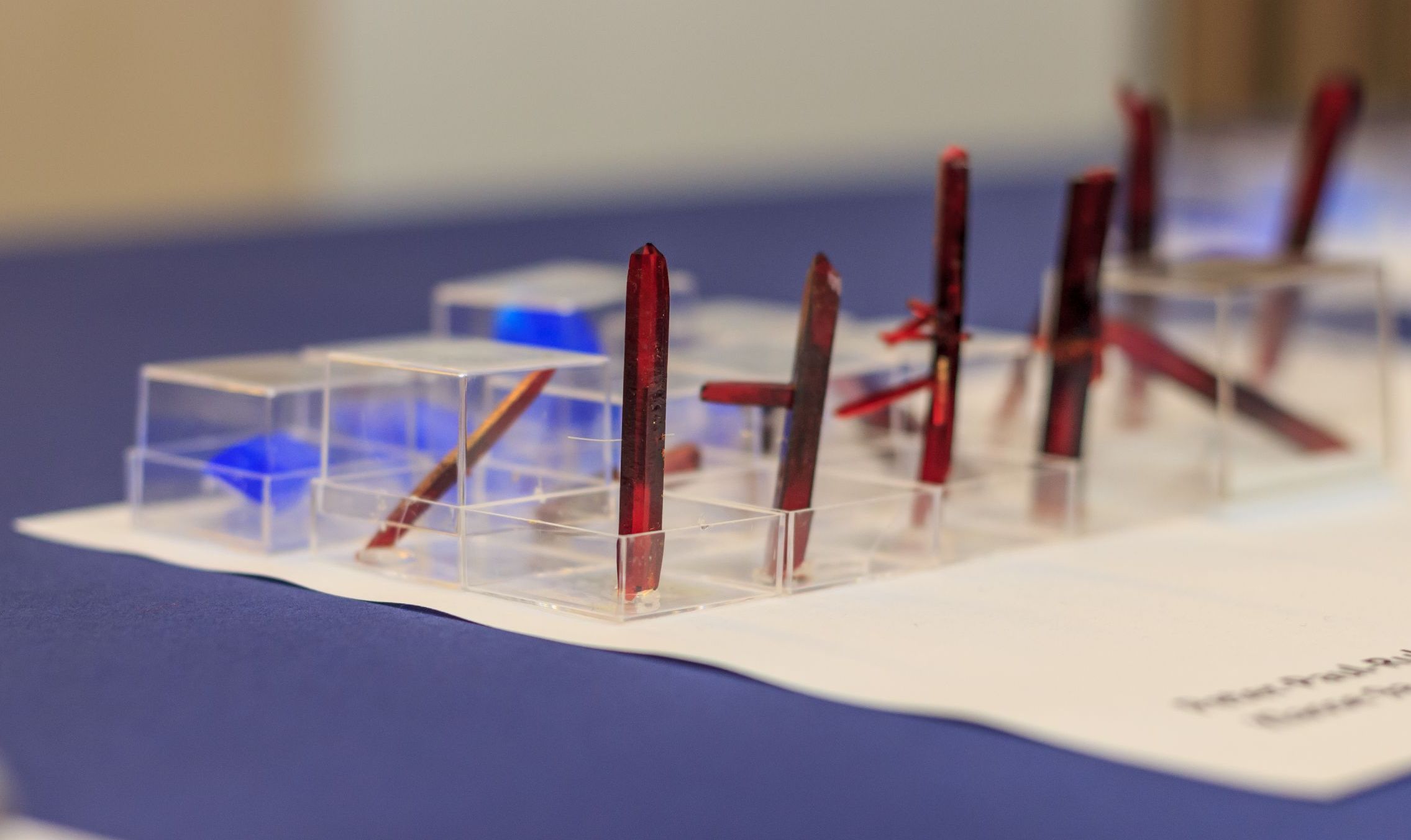 2014: Alice im Kristall-land: An open crystallography day for the general public