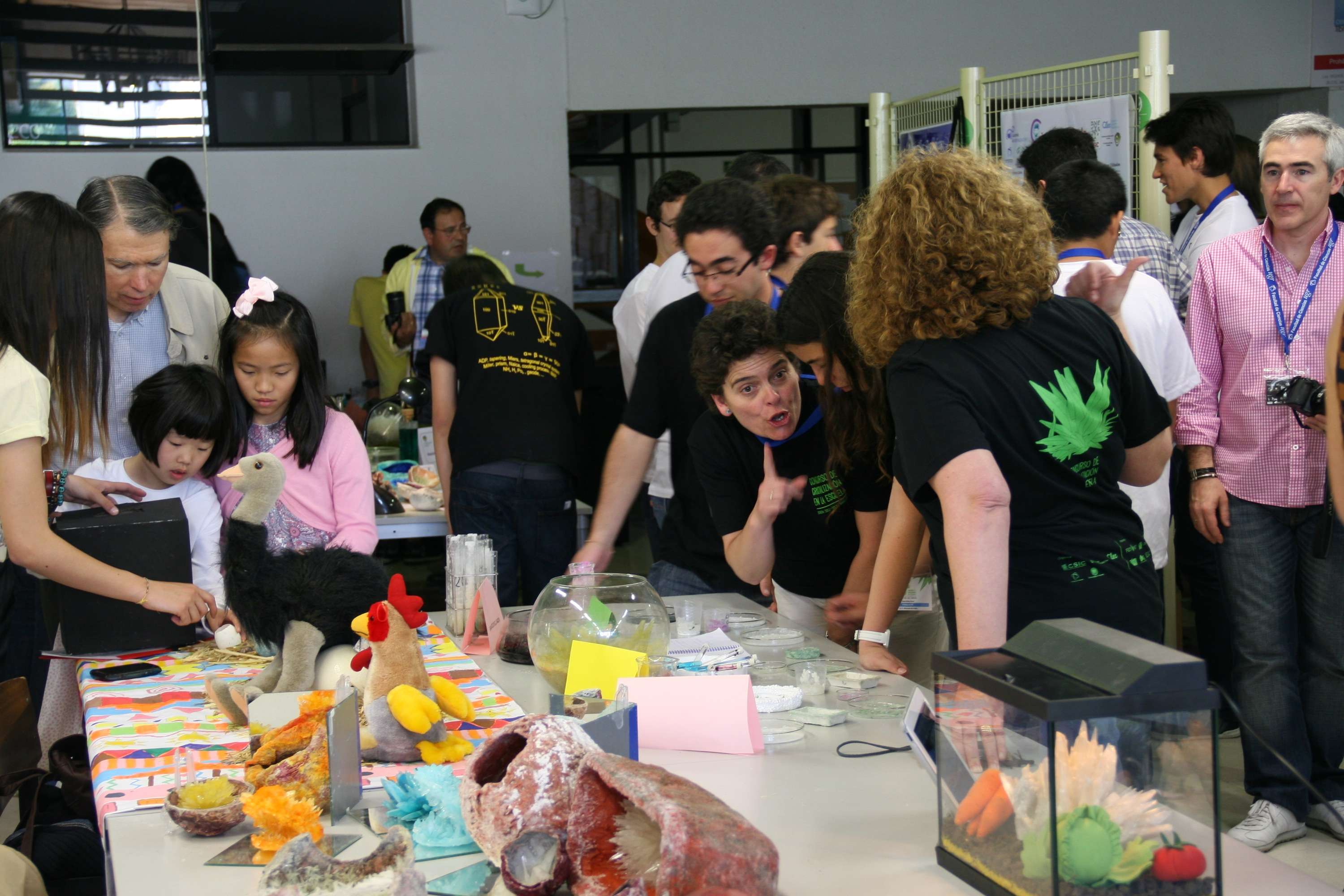 2013: Spanish Schools Crystallization Competition: Final event