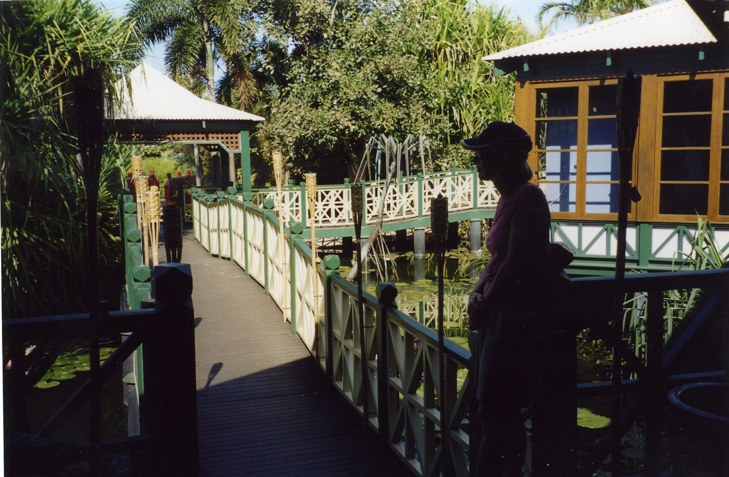 1994: SCANZ Meeting: Venue