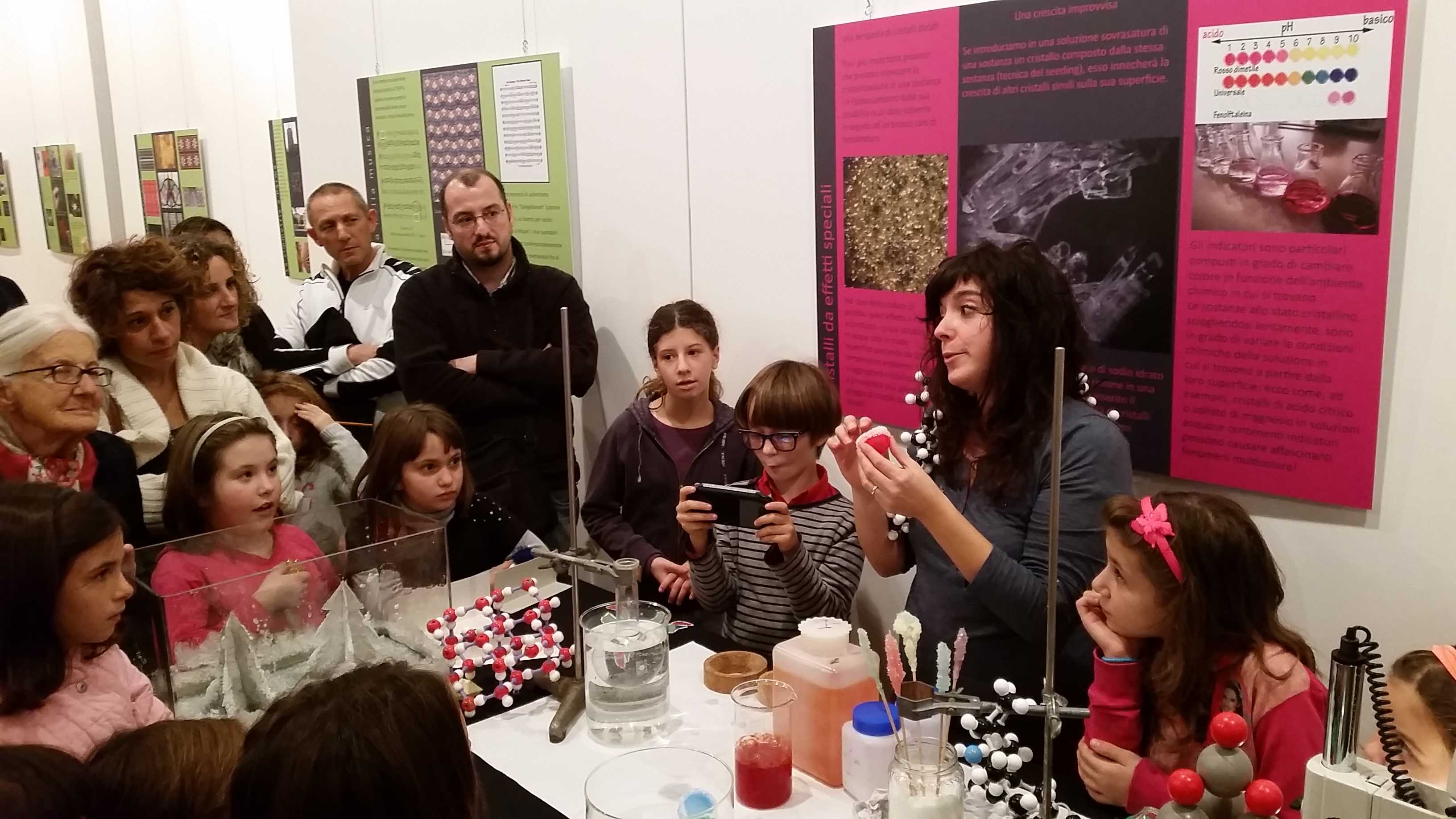 2014|Crystalli|Participants