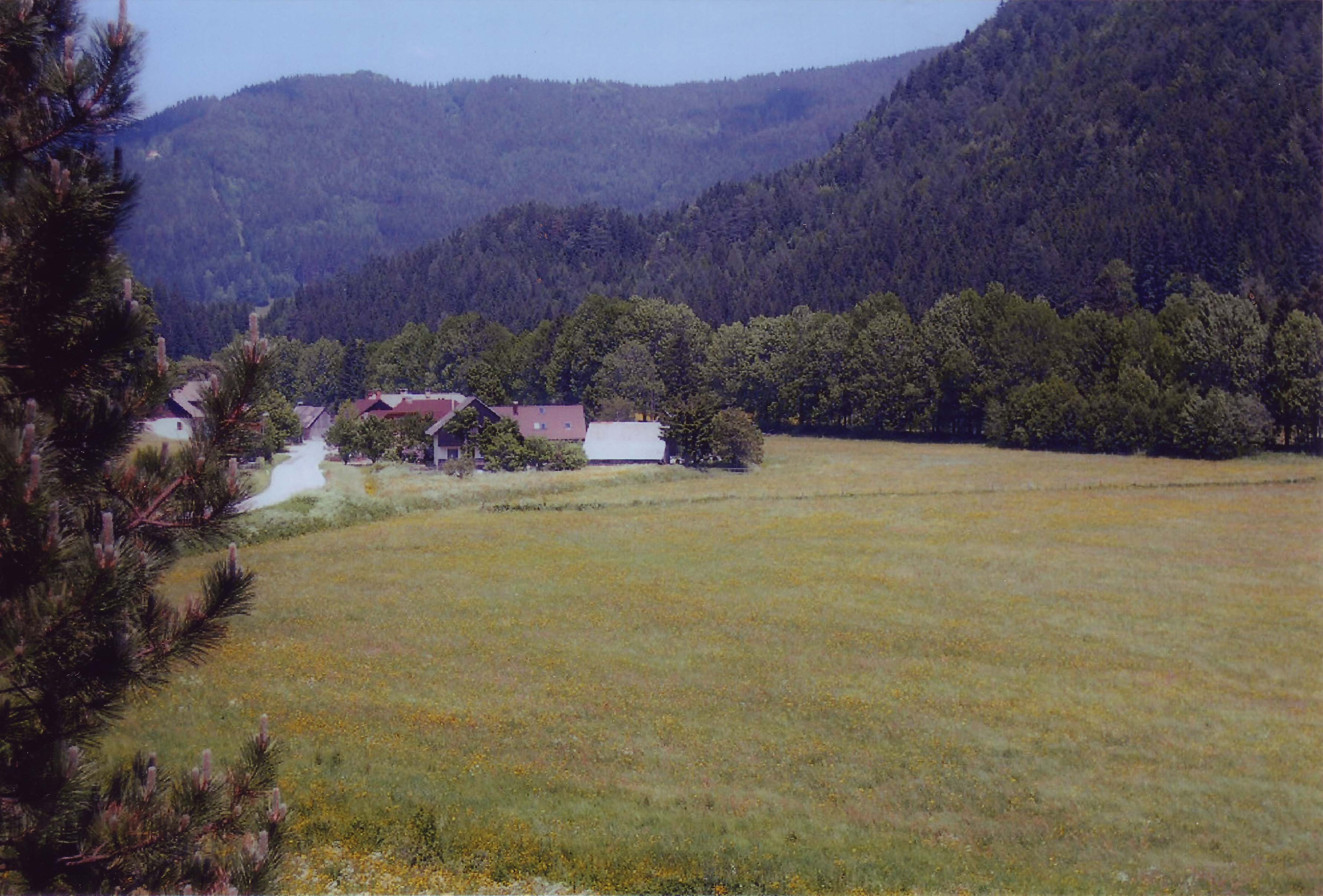 2006: Slovenian-Croatian Crystallographic Meeting: Venue