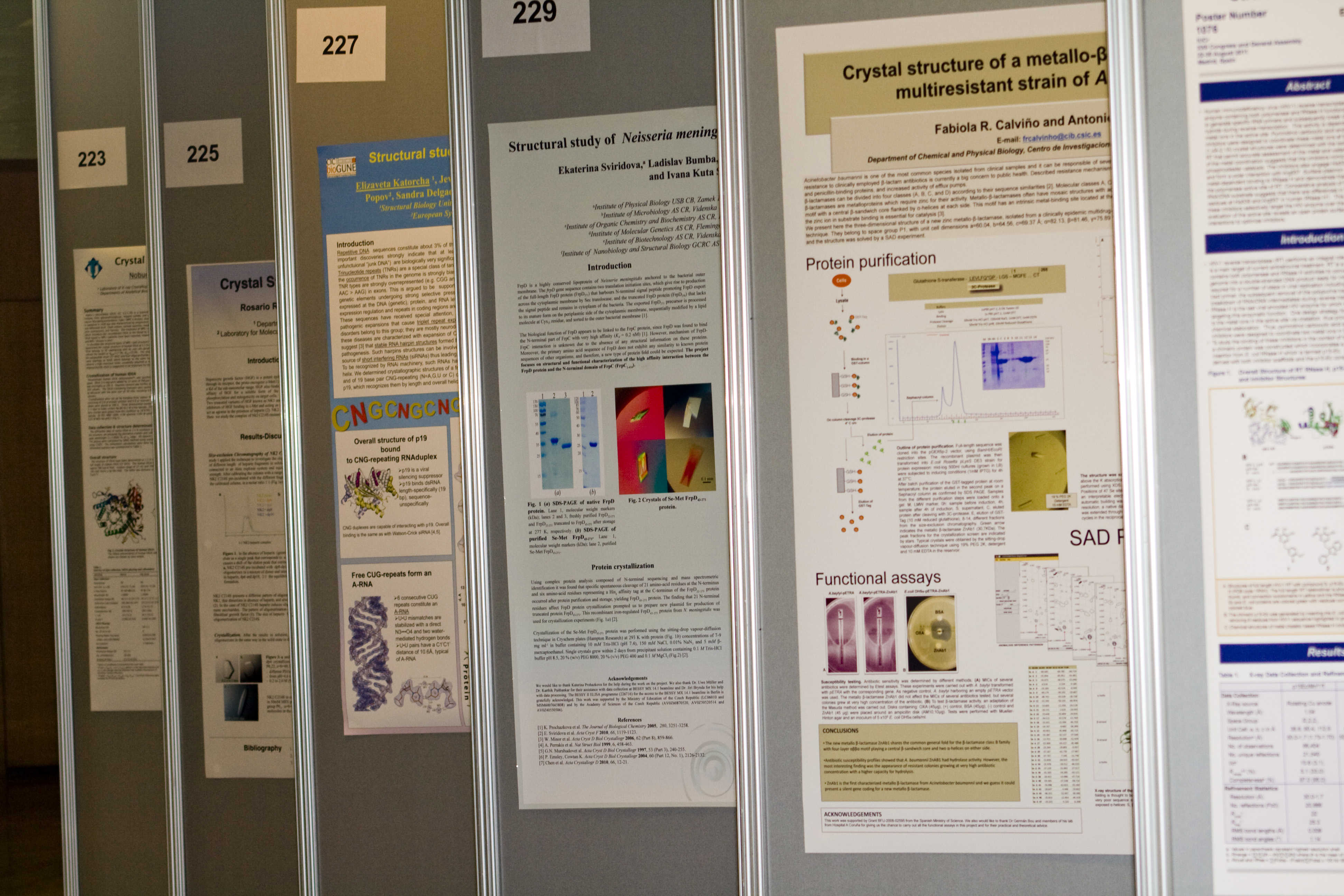 2011: IUCr Congress and General Assembly: General photos