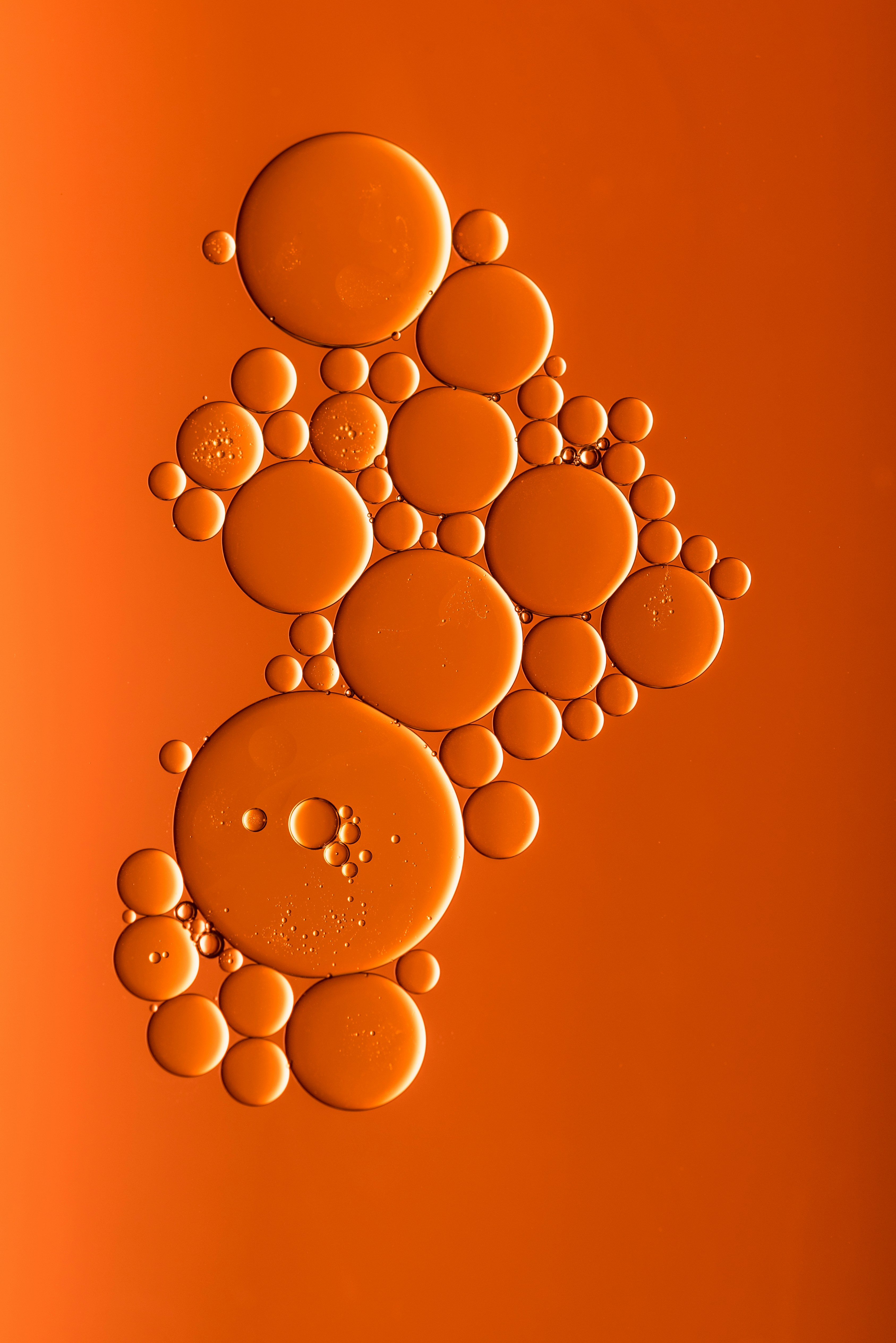 IUCr Newsletter (2004) Volume 12, Number 4 cover