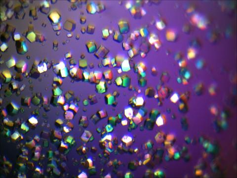 header image for Commission on Mathematical and Theoretical Crystallography