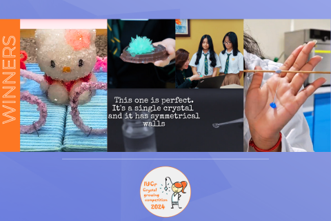 Compilation of 2024 IUCr Crystal Growing Competition winning entries.