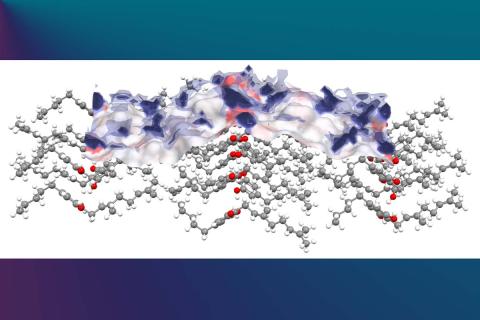 Figure 1. The interactions of water molecules (represented as blue clouds) around more polar areas of a predicted particle surface (shown by the red regions) are linked to dissolution behaviour by Zmeškalová and coworkers.