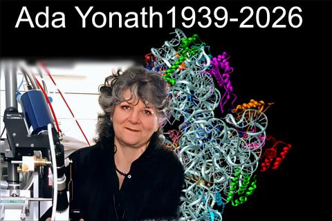 compilaton of Ada's portrait and a protein structure