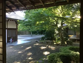 A garden