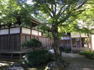 Trees in the garden outside the temple