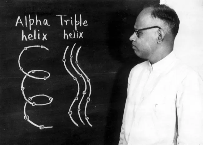 G.N. Ramachandran delivering a seminar in the 1960s.