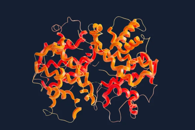 Crystal Hemoglobin Structure, https://pdb101.rcsb.org/motm/41. Photo by ANIRUDH on Unsplash.