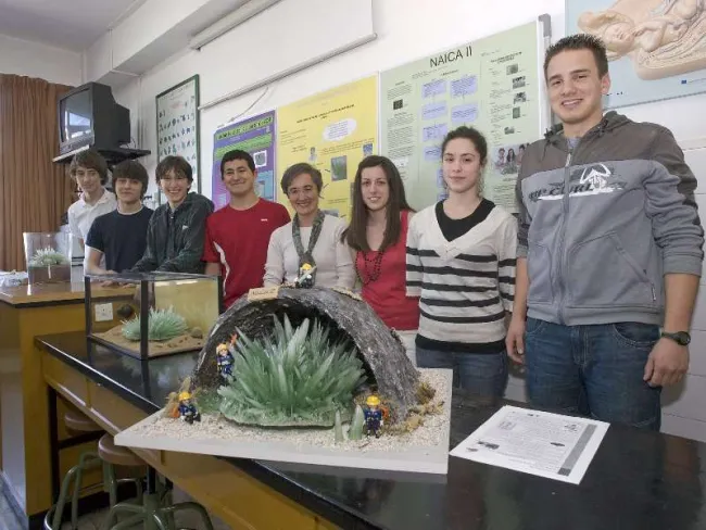 2013: Spanish Schools Crystallization Competition: Final event
