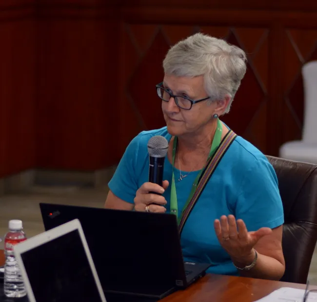 2017: IUCr Executive Committee meeting: Meeting