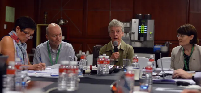 2017: IUCr Executive Committee meeting: Meeting