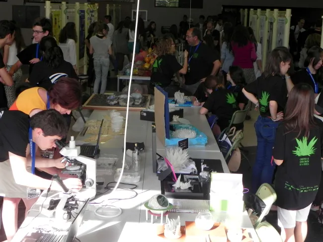 2013: Spanish Schools Crystallization Competition: Final event