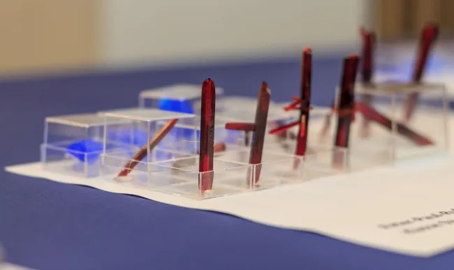 2014: Alice im Kristall-land: An open crystallography day for the general public