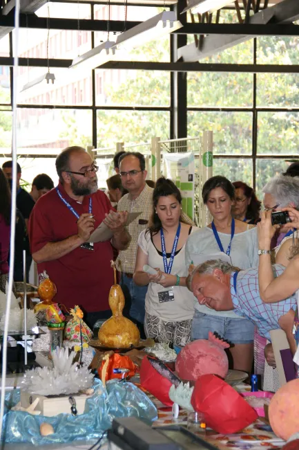 2013: Spanish Schools Crystallization Competition: Final event