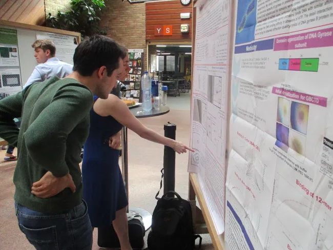 2016: School on Fundamental Crystallography with Applications to Electron Crystallography: Posters