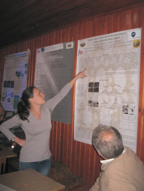 2013: International School on Fundamental Crystallography: Participant poster presentation